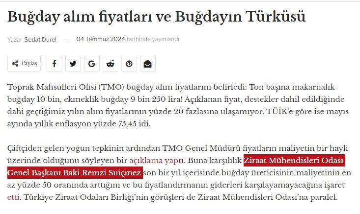 GAZETENİSAN.NET: BUĞDAY ALIM FİYATLARI VE BUĞDAYIN TÜRKÜSÜ- 4 TEMMUZ 2024