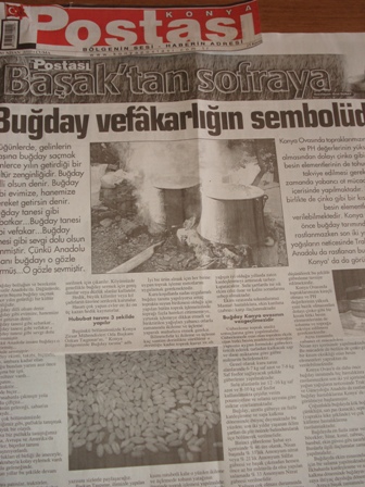 “BUĞDAY KONYA OVASI’NIN VAZGEÇİLMEZİDİR”-KONYA POSTASI