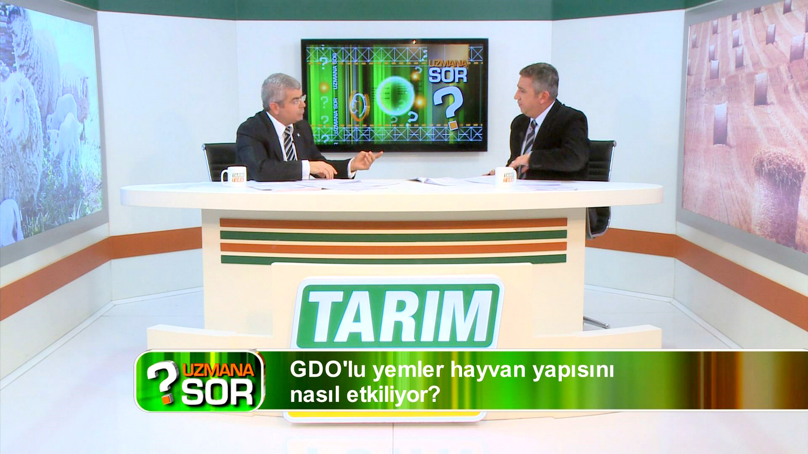 TARIMTÜRK TV YAYINI