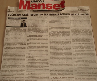 ZMO TARIM KÖŞESİ-“BUĞDAYDA ÇEŞİT SEÇİMİ VE SERTİFİKALI TOHUMLUK KULLANIMI”- ANADOLU MANŞET