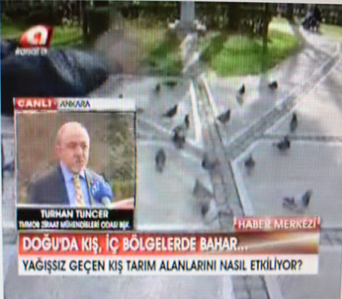KANAL A YAYINI