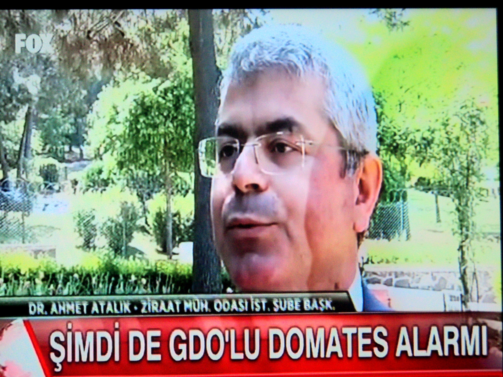FOX TV YAYINI