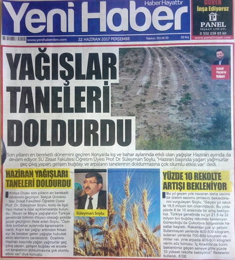 YENİHABER GAZETESİ - YAĞIŞLAR TANELERİ DOLDURDU