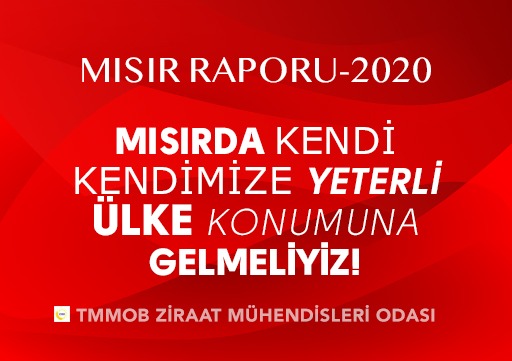 TMMOB ZİRAAT MÜHENDİSLERİ ODASI MISIR RAPORU - 2020