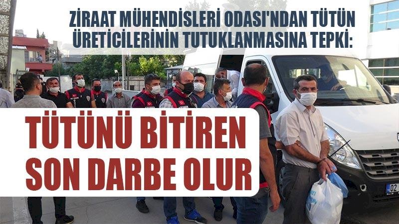 ULAK NEWS: ZİRAAT MÜHENDİSLERİ ODASI`NDAN TÜTÜN ÜRETİCİLERİNİN TUTUKLANMASINA TEPKİ: TÜTÜNÜ BİTİREN SON DARBE OLUR. 14.07.2021