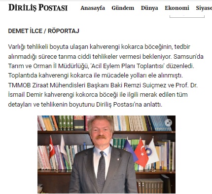 DİRİLİŞ POSTASI: KAHVERENGİ KOKARCA TEHDİDİ BÜYÜYOR!- 13 EKİM 2023